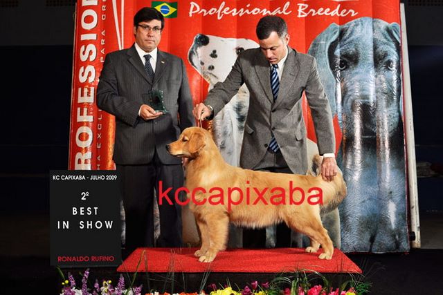 Clique sobre a foto para fechar